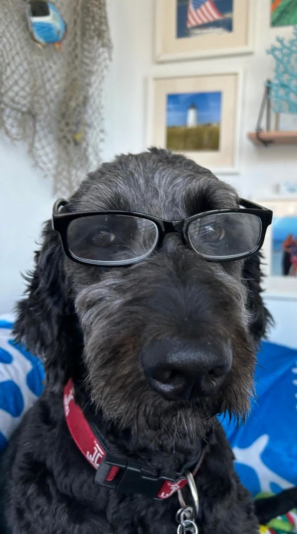 502726440_10226815718411467_403957214436456370