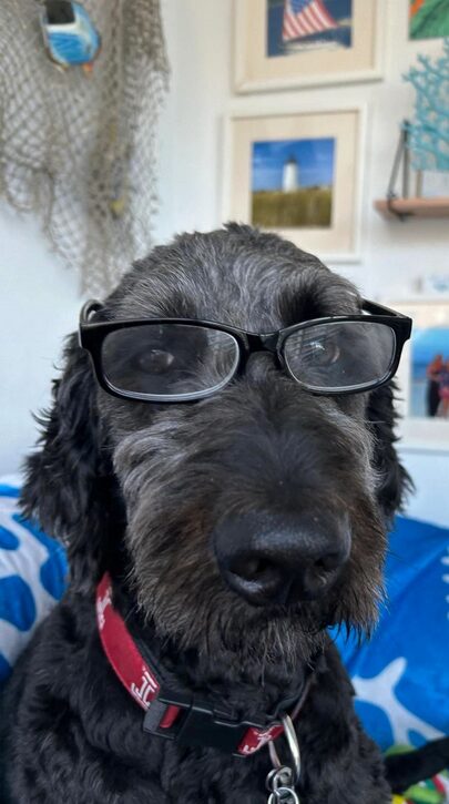 Screenshot 2026-03-11 at (2)