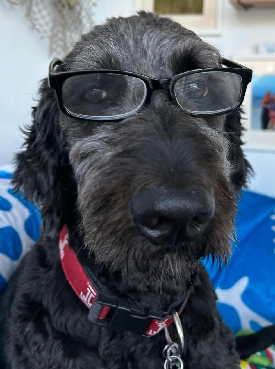 502726440_10226815718411467_403957214436456370