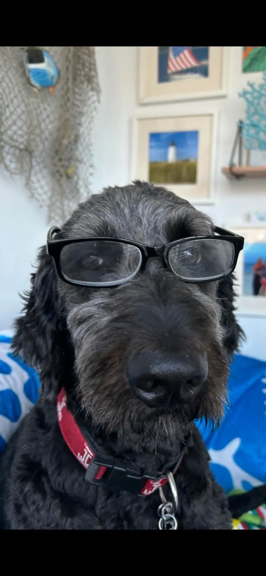 502726440_10226815718411467_403957214436456370