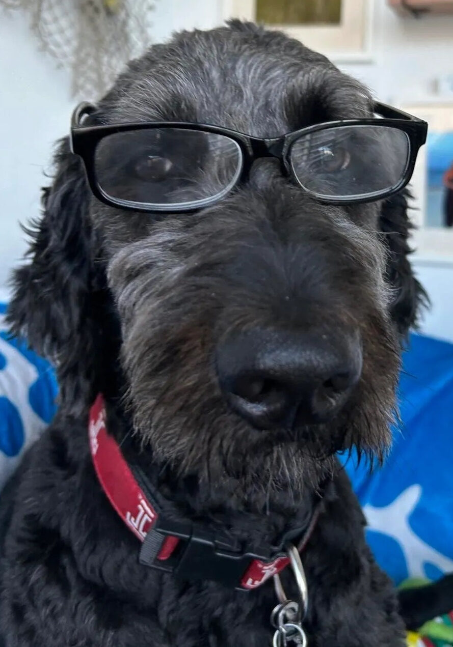 502726440_10226815718411467_403957214436456370