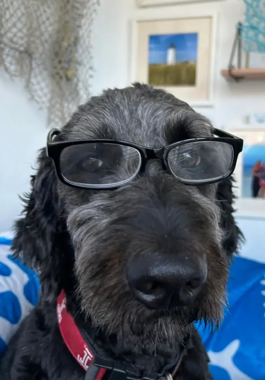 502726440_10226815718411467_403957214436456370